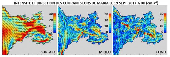 courants cycloniques